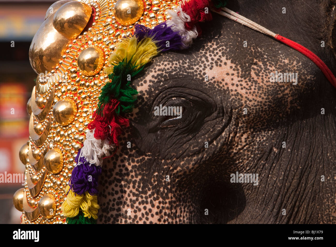 India Kerala Adoor Sree Parthasarathy Temple Gajamela Festival
