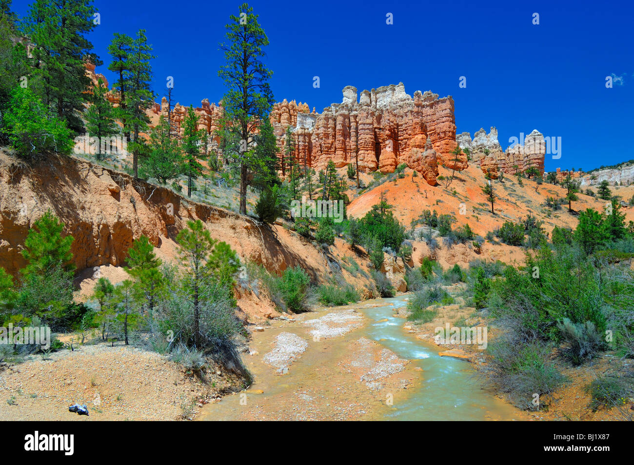 Mossy Trail, part of Bryce Canyon National Park, Utah, United States of America. Stock Photo