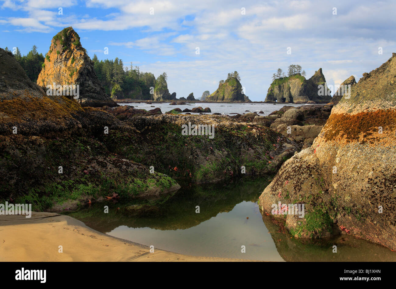 Point of the Arches at Shi Shi Beach along the rugged coastline of Olympic National Park Stock Photo