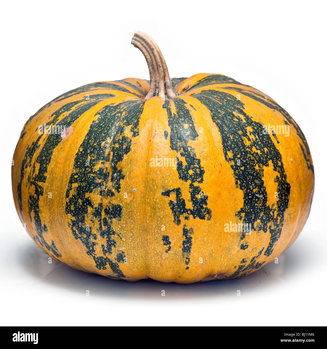 Pumpkin isolated on a white studio background Stock Photo - Alamy