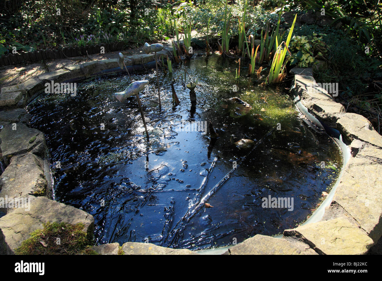Garden pond in winter covered with Ice Stock Photo