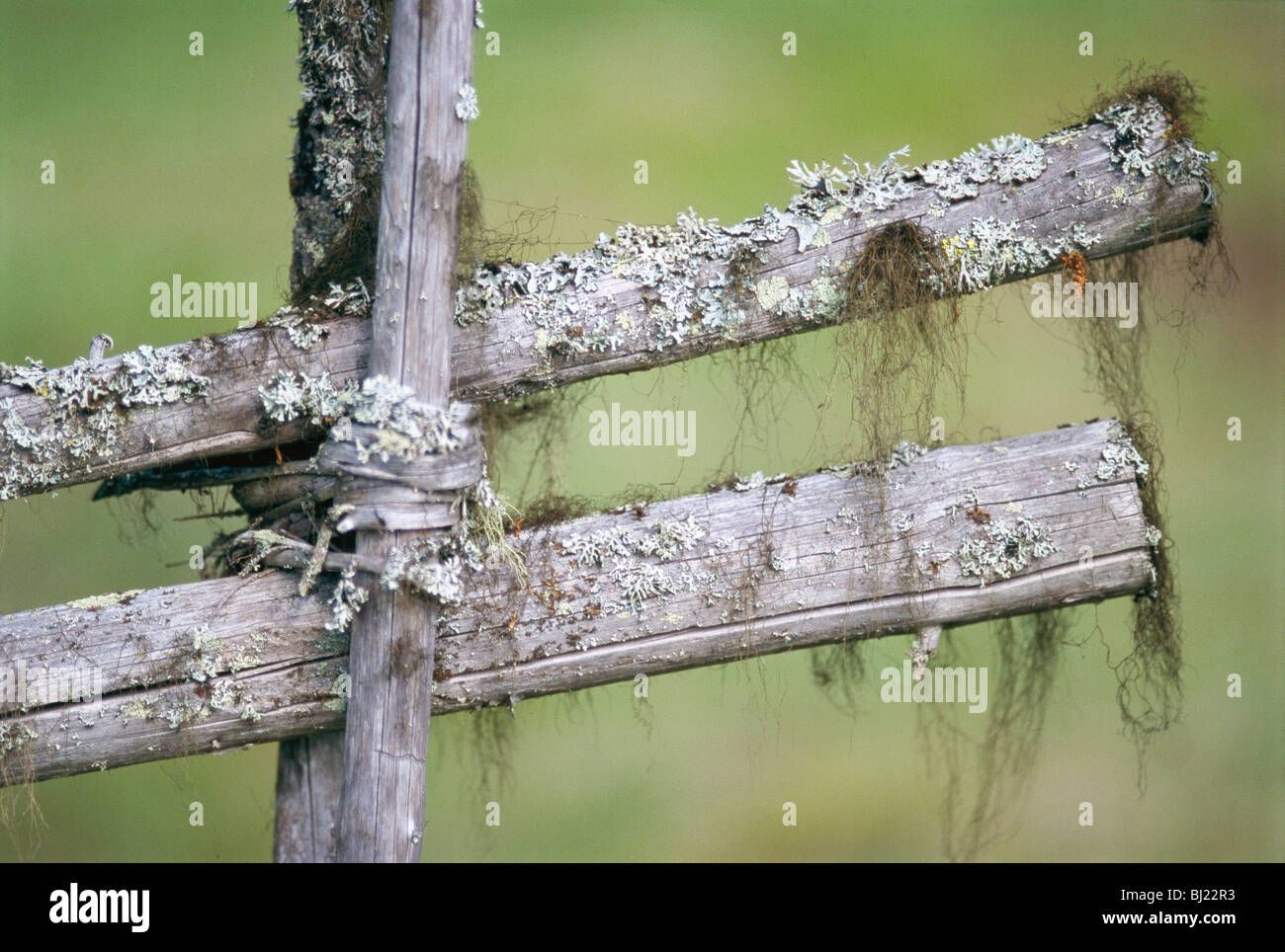 Old fashioned wood fence hi-res stock photography and images - Alamy