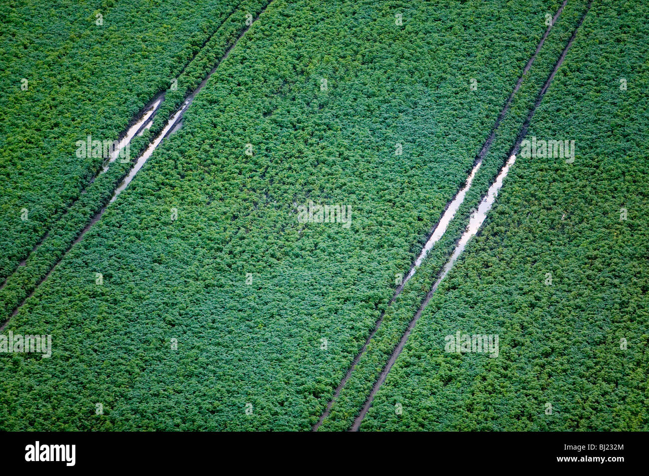 Fields after rain Stock Photo - Alamy