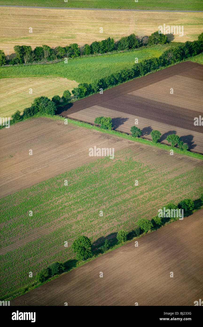 Trees and fields Stock Photo