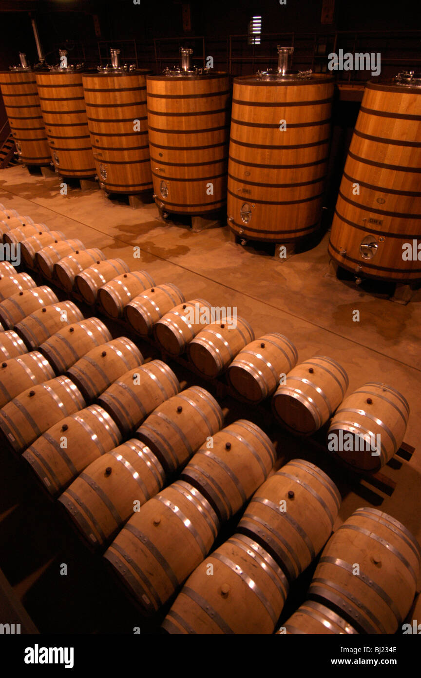 Vine in barrels Stock Photo Alamy