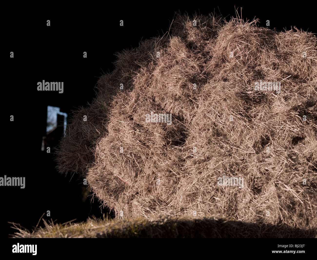 Hay bedding hires stock photography and images Alamy