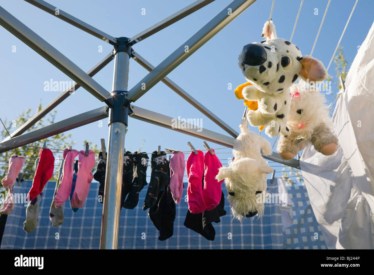 Washed socks and toys hung up to dry. Stock Photo