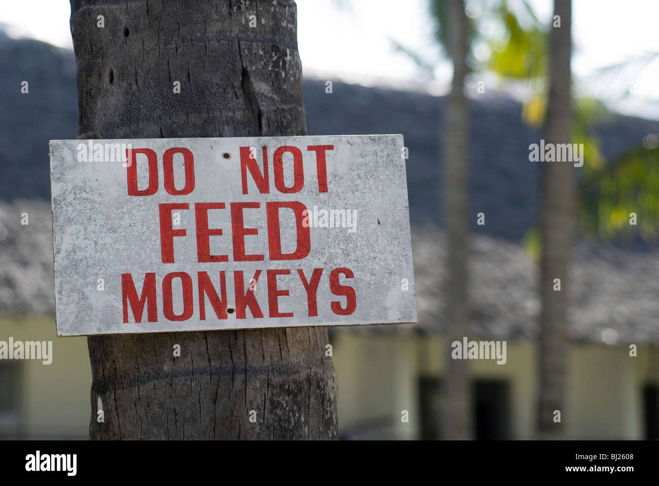 Do Not Feed Monkeys Stock Photo - Alamy