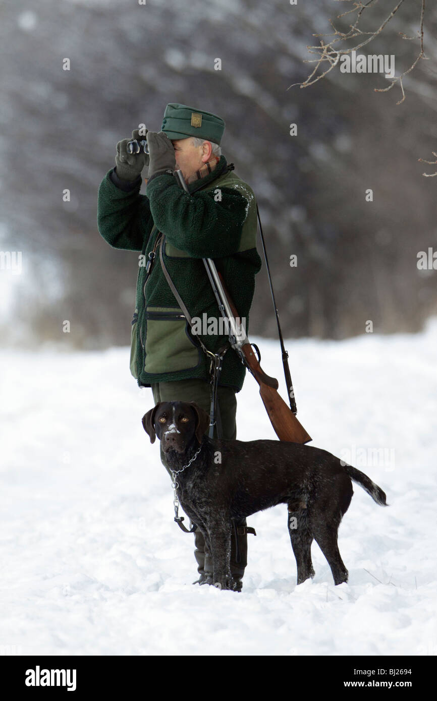 Hunter with dog, stalking Roe Deer in winter, Capreolus capreolus, Harz Mountains, lower Saxony, Germany Stock Photo