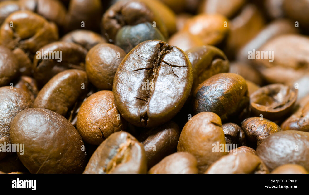Coffee beans. Shot in studio. Stock Photo