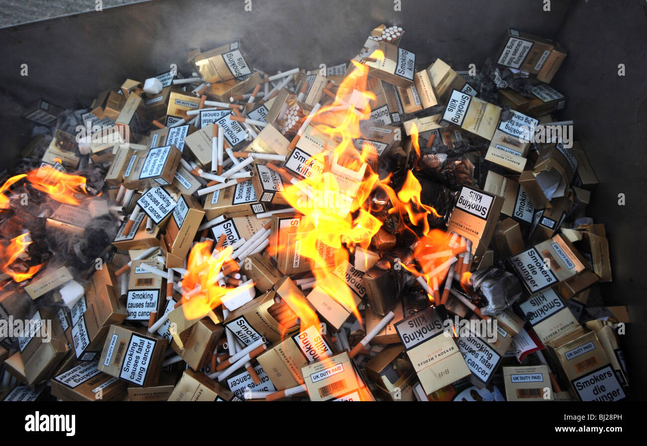 Thousands of counterfeit cigarettes seized in a raid by trading standards are destroyed Stock Photo