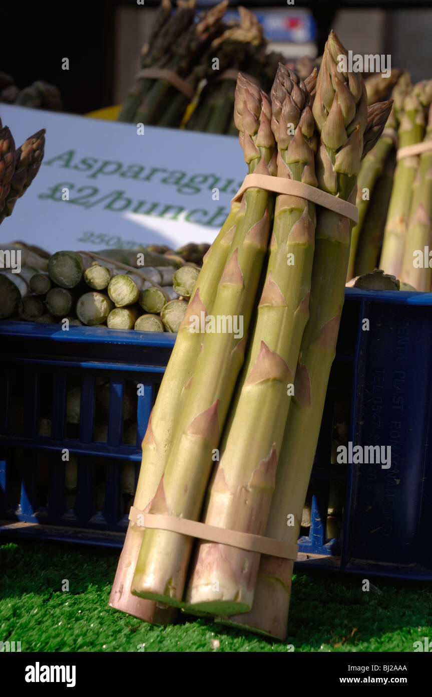 Organic asparagus, local produce for sale at farmer's market