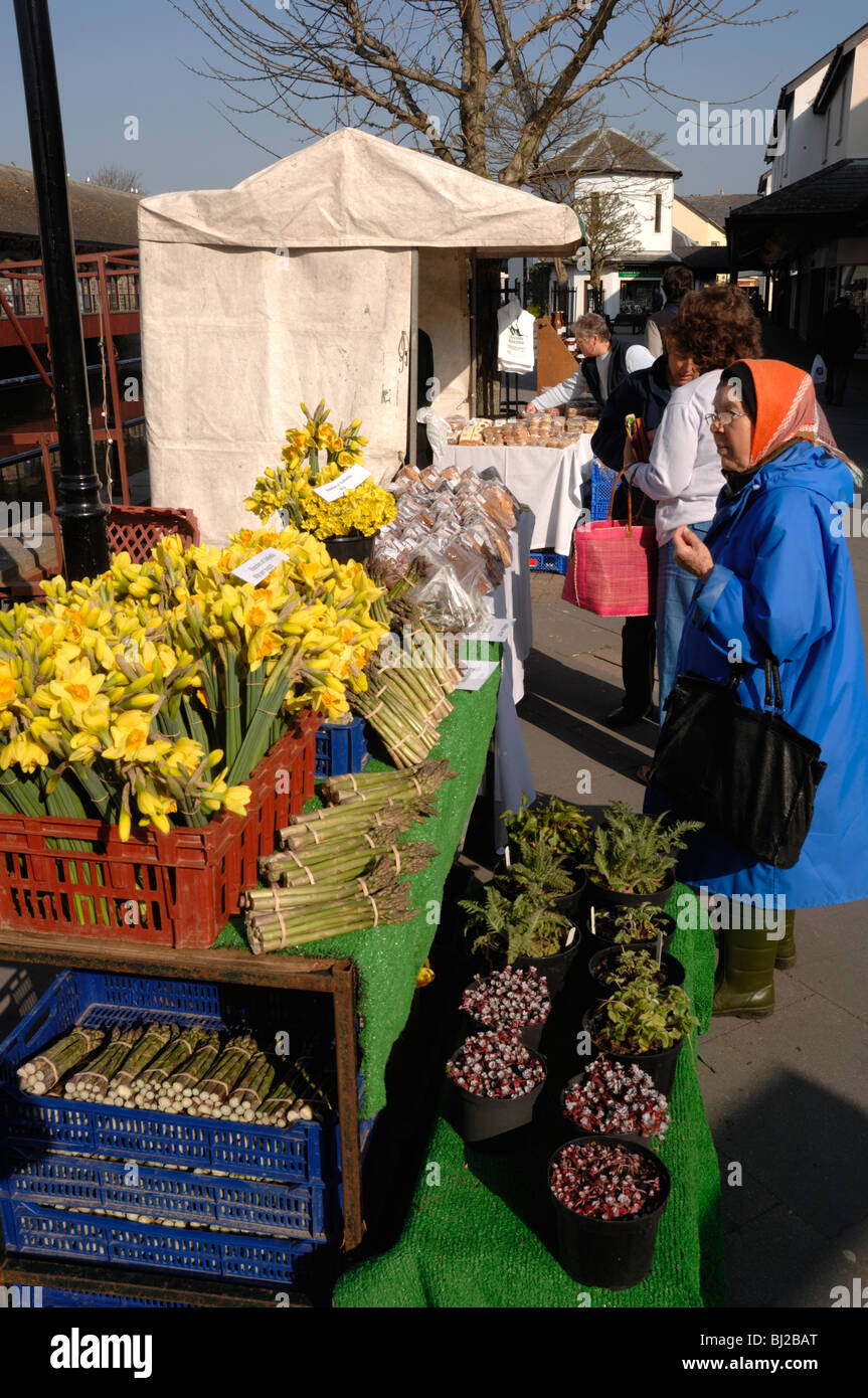 Market stall selling daffodils at farmer's market, Haverfordwest