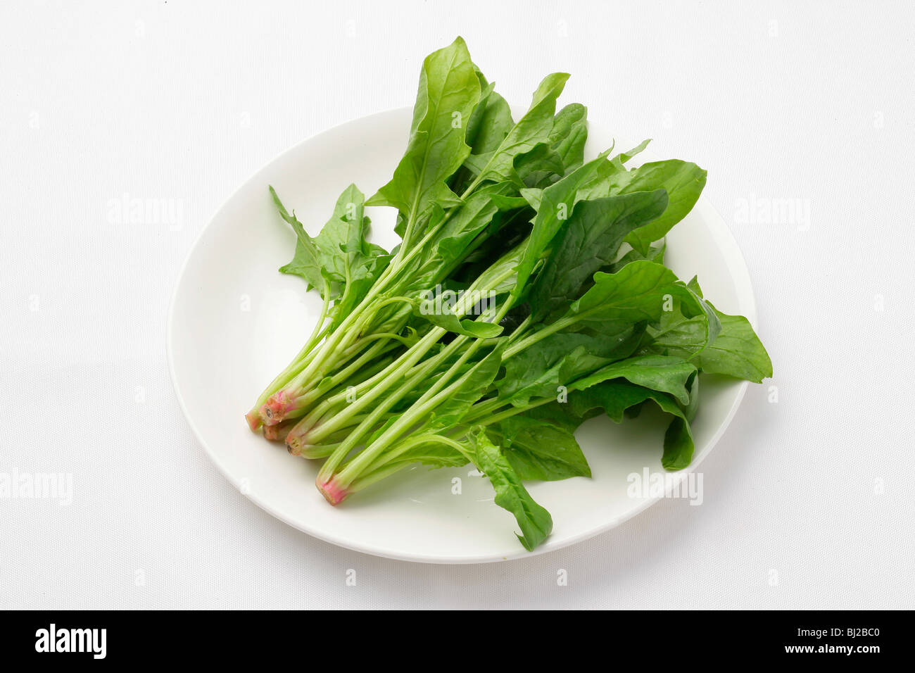 Spinach,still life Stock Photo
