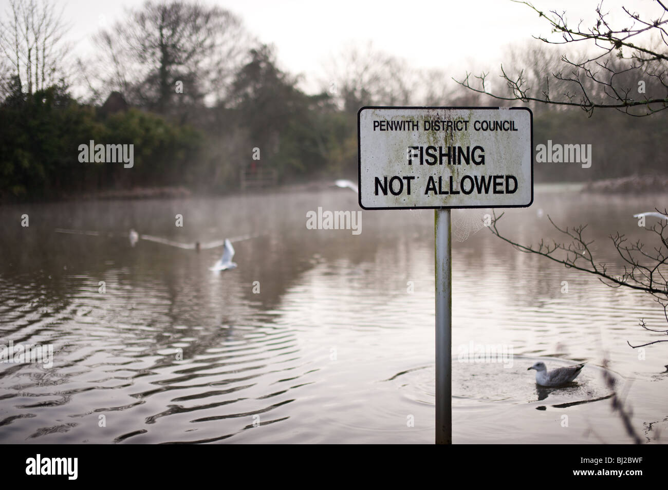 No fishing sign at a pond, Hayle, Cornwall Stock Photo