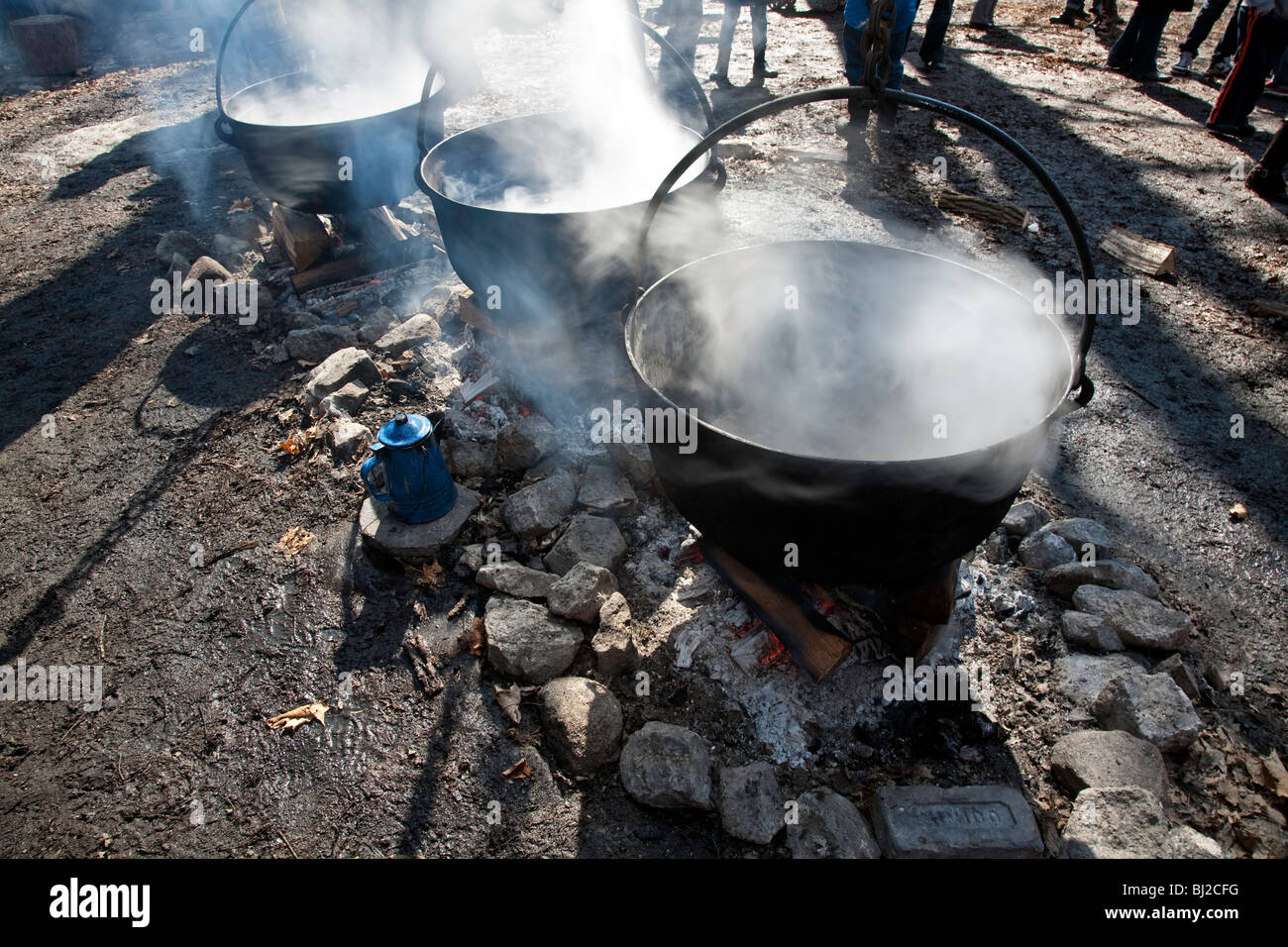 Maple Syrup or Maple syrup Harvest in Northern Ontario;Canada Stock