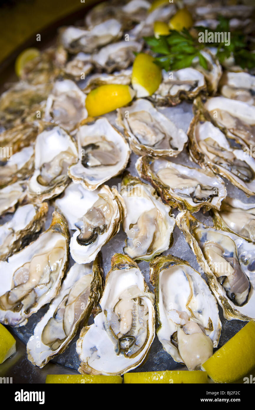 Oysters shell shells hires stock photography and images Alamy