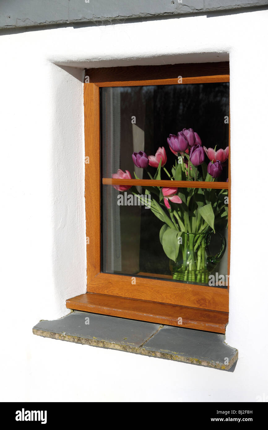 vase of tulips in cottage window Stock Photo