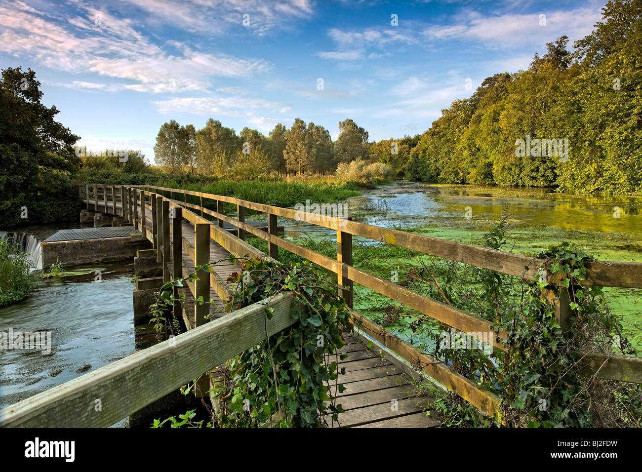 Wiltshire Rivers Weir and footbridge over the River Avon near Charlton all Saints ...