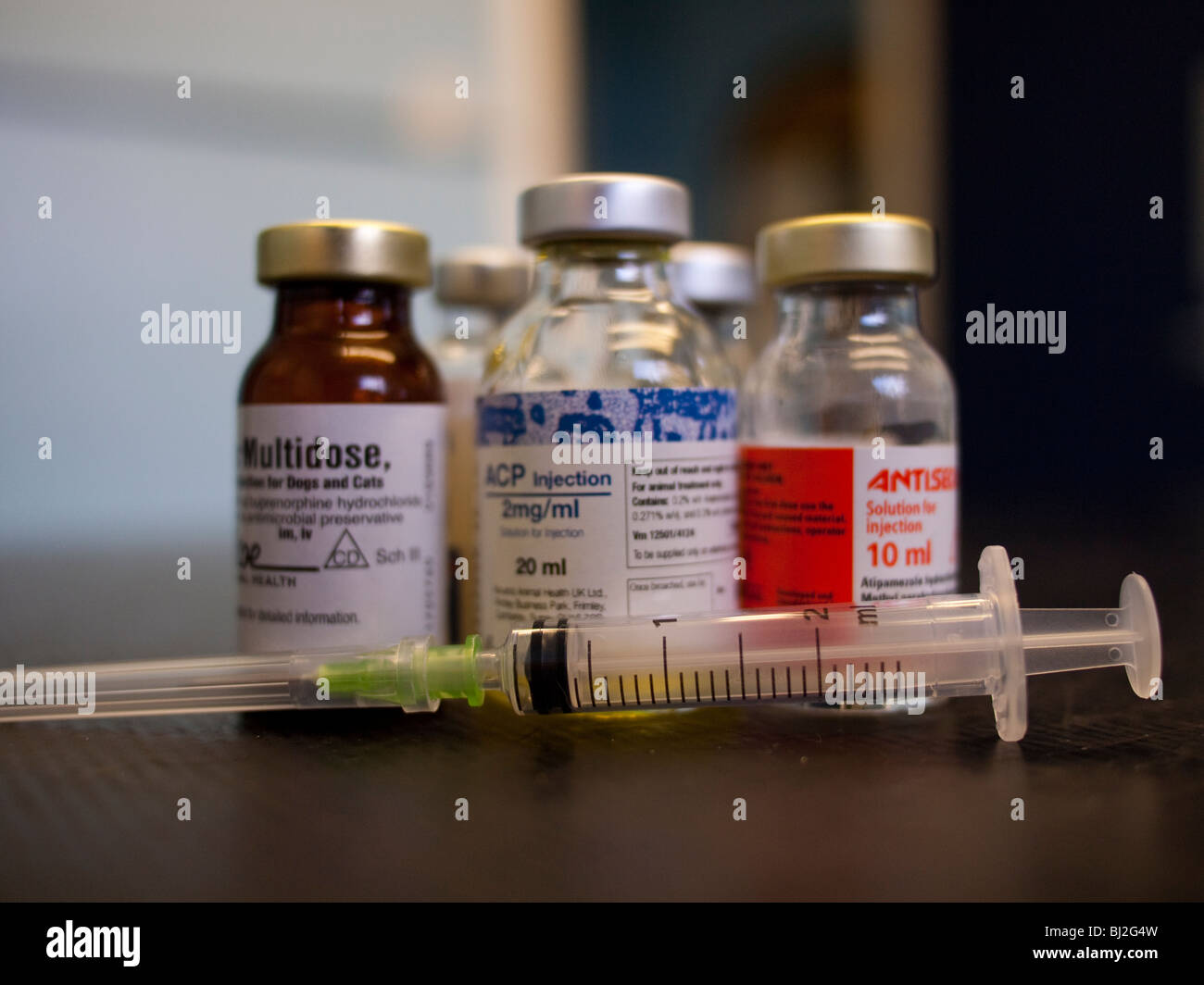Veterinary Medicine Bottles and an Empty Syringe Stock Photo