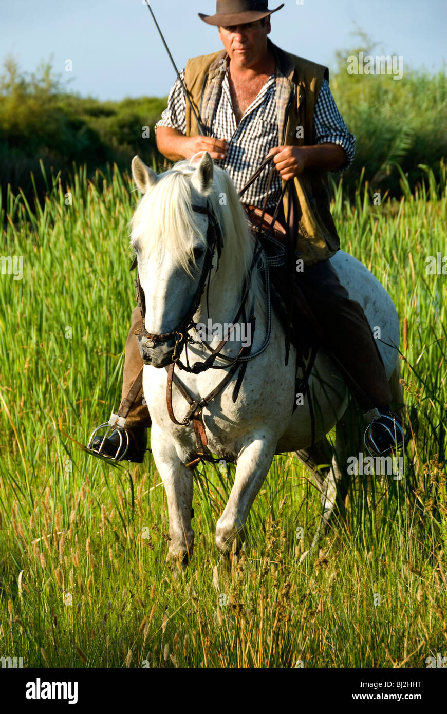 Gardian on his horse, the White Horses of the Camargue, Provence, France Stock Photo