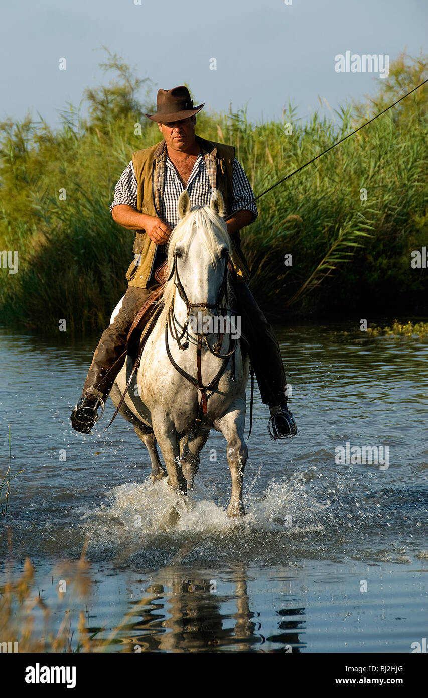 Gardian on his horse, the White Horses of the Camargue, Provence, France Stock Photo