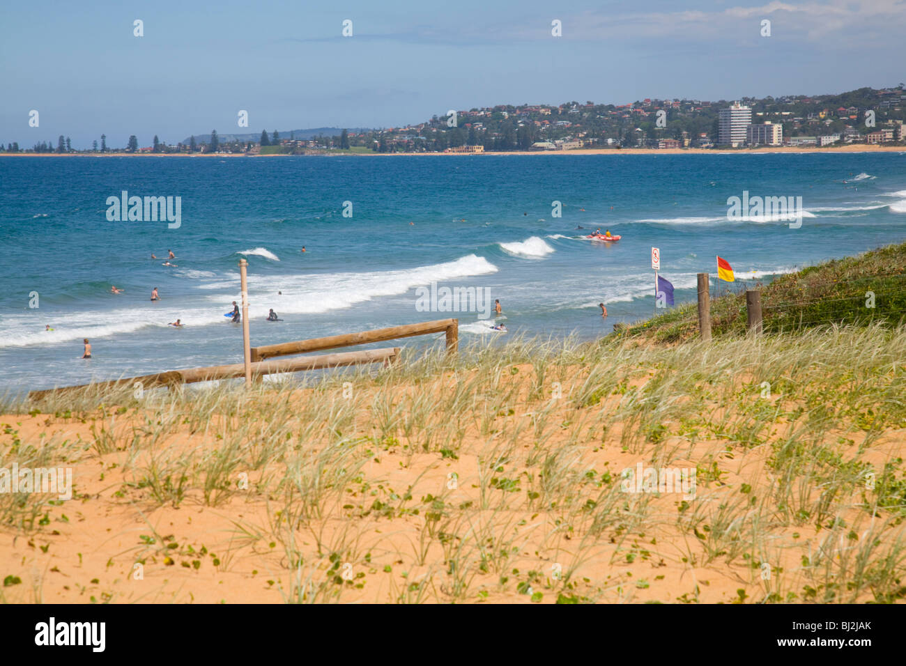 sand dunes at sydney's narrabeen beach Stock Photo Alamy
