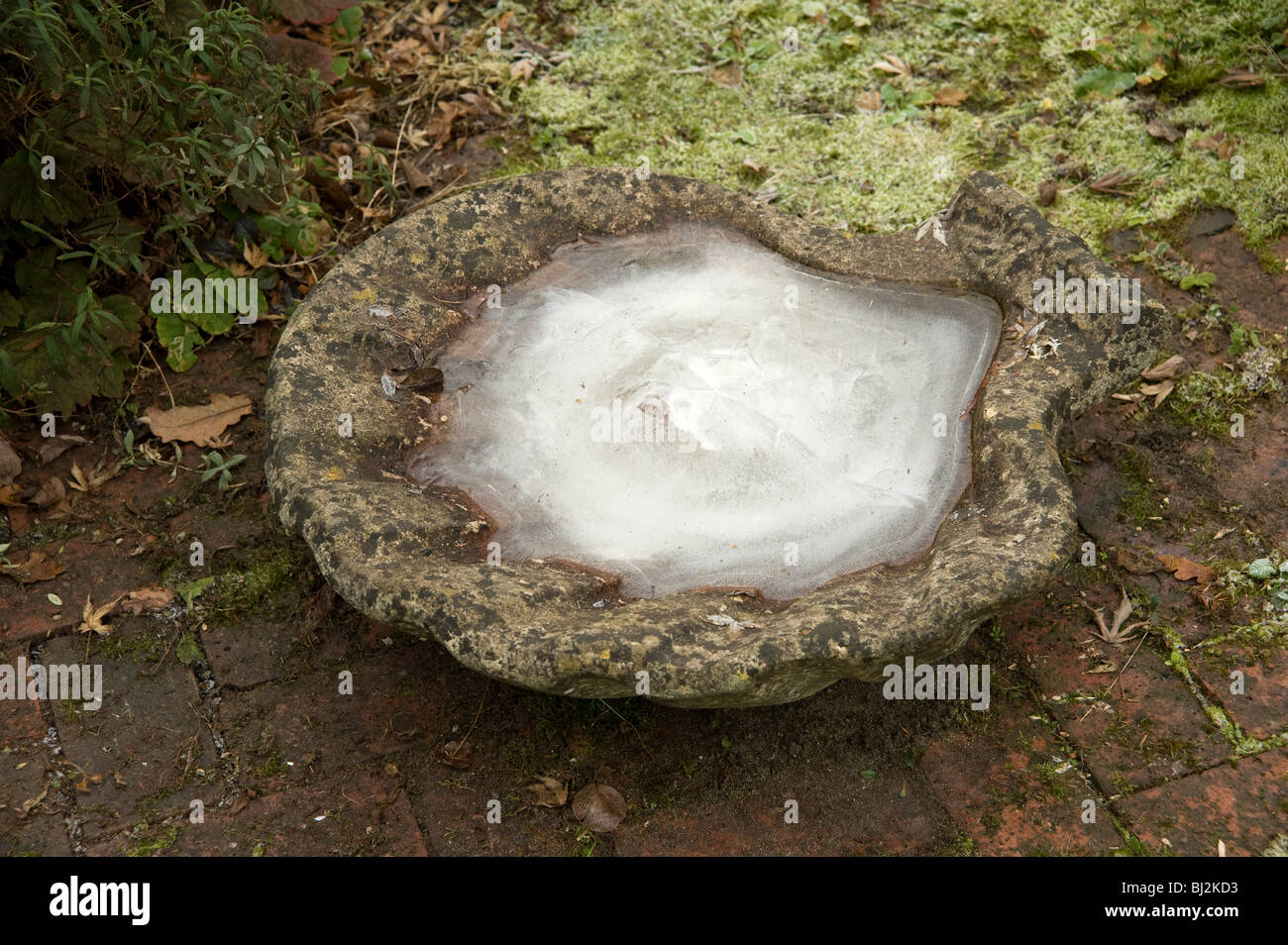 Iced-up bird bath early on a cold winter's morning prevents birds from drinking Stock Photo
