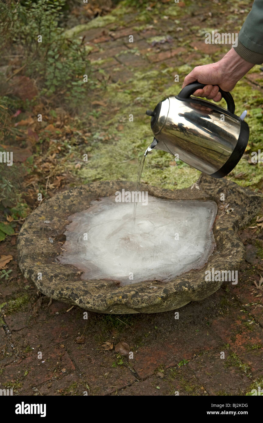 Boiling water thermometer hi-res stock photography and images - Alamy