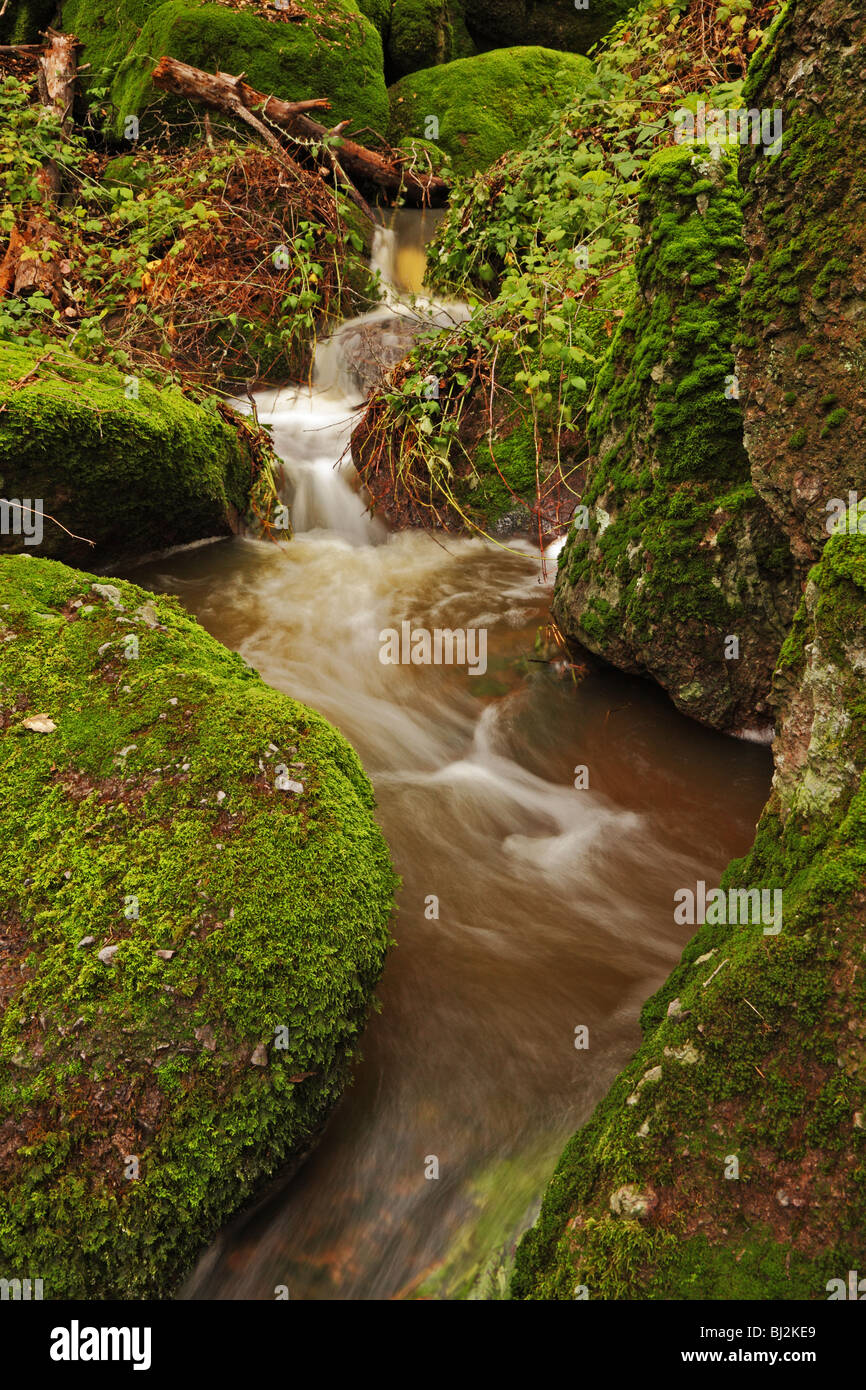 A stream flows through moss covered rocks Stock Photo