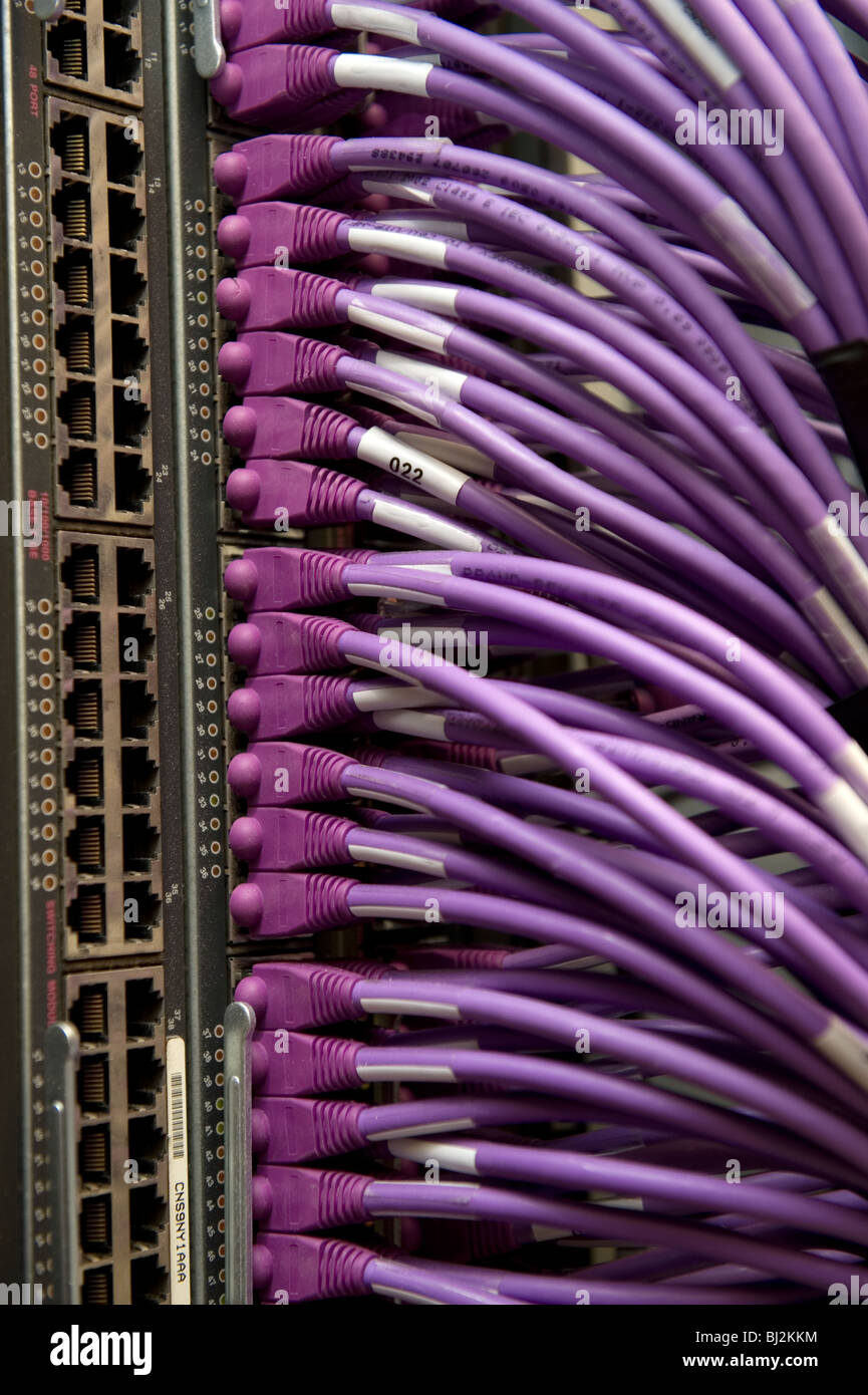 Purple cables plugged into a server Stock Photo Alamy