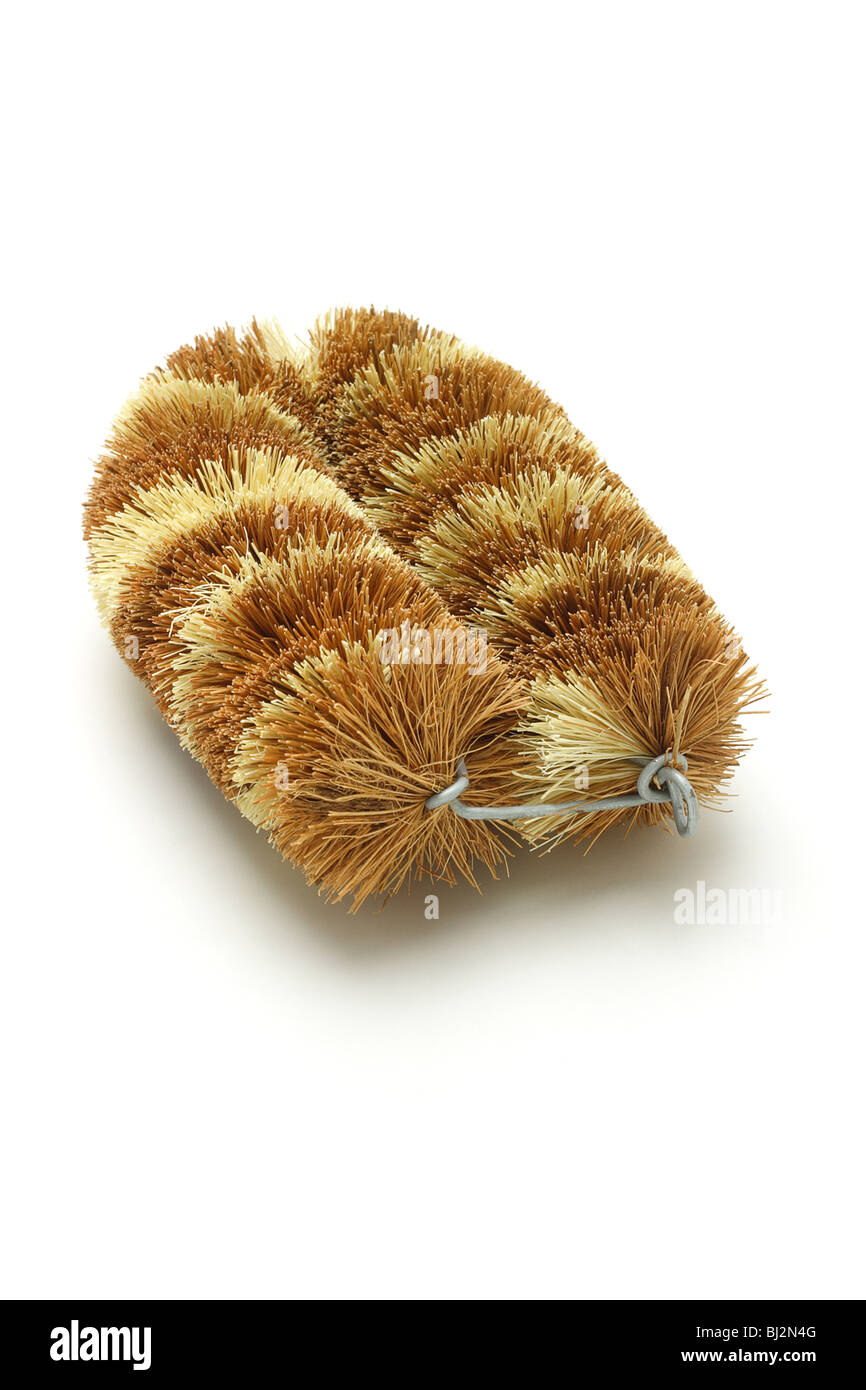 Biodegradable cleaning brush made from coconut husk on white background Stock Photo