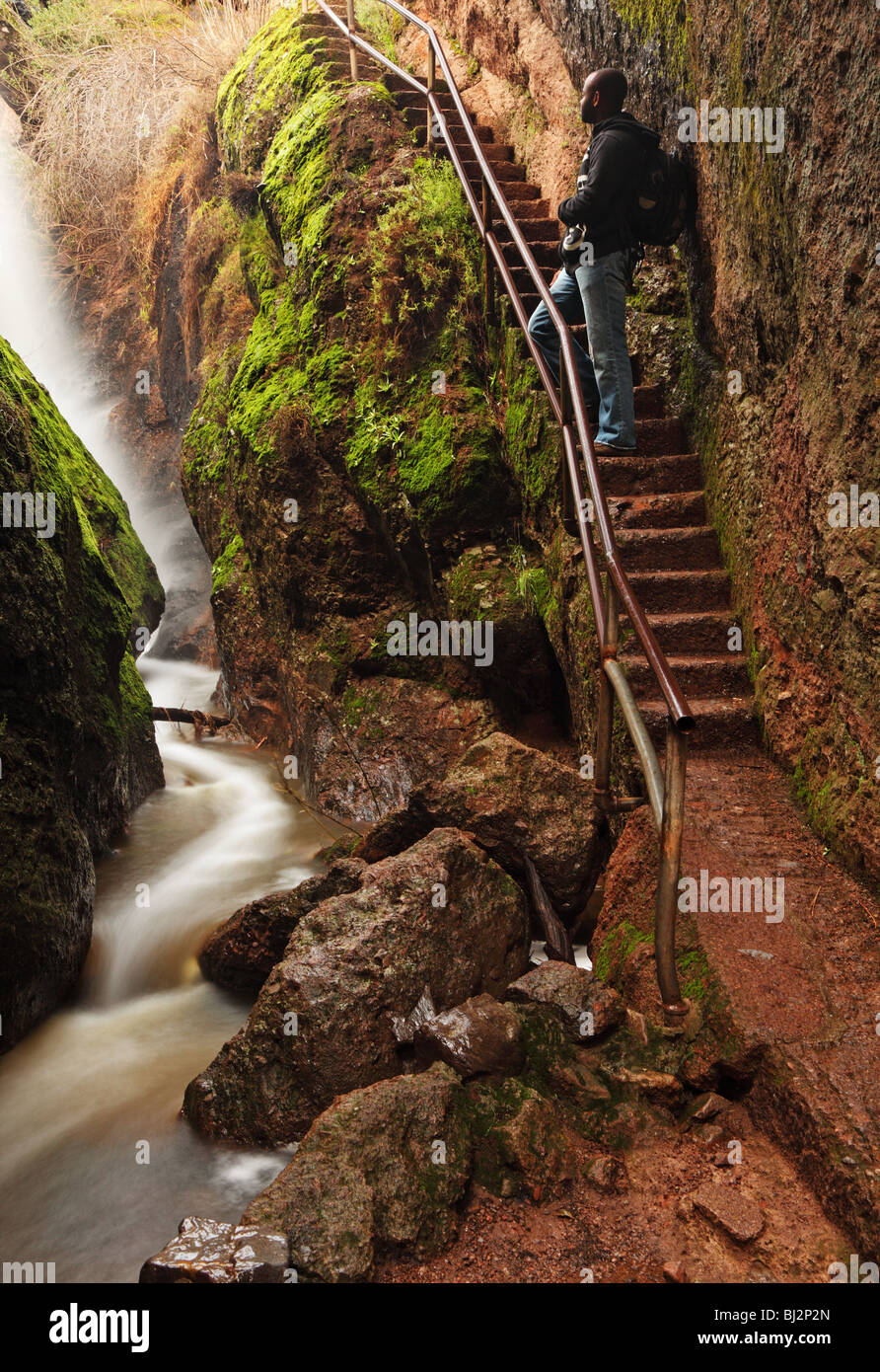 Hiker looks at mist and stream amidst rocks covered in vibrant green moss Stock Photo