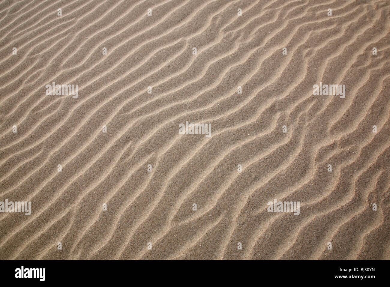 Sand ripples on beach Stock Photo - Alamy