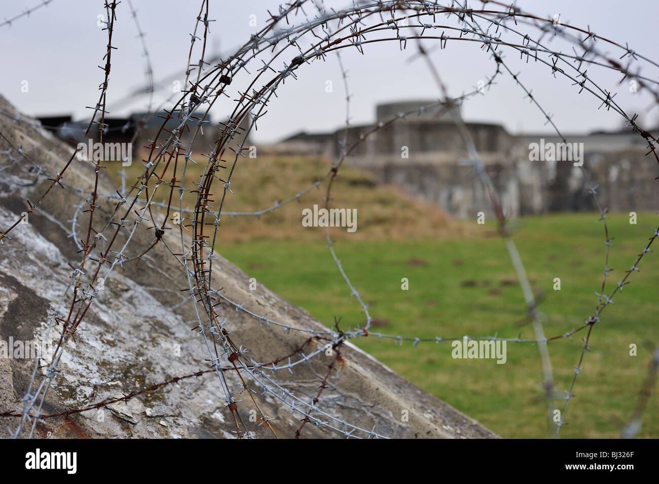 Prisoner war in barbed wire hires stock photography and images Alamy