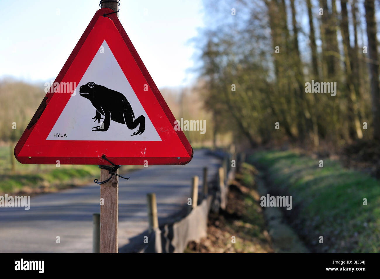 Warning sign for migrating amphibians / toads crossing the road during annual migration in the spring, Belgium Stock Photo