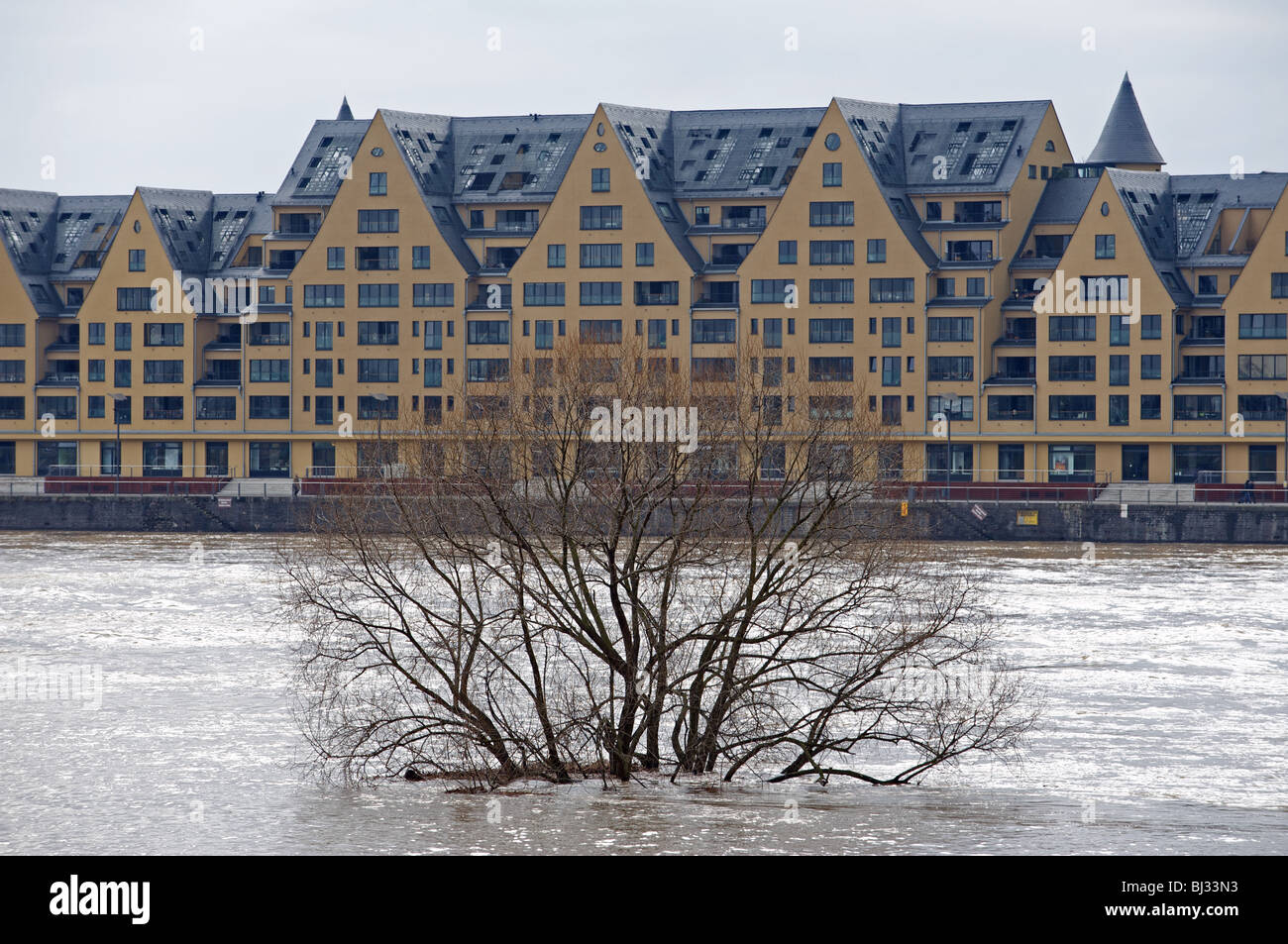 Flooded river Rhine, Cologne, Germany Stock Photo Alamy