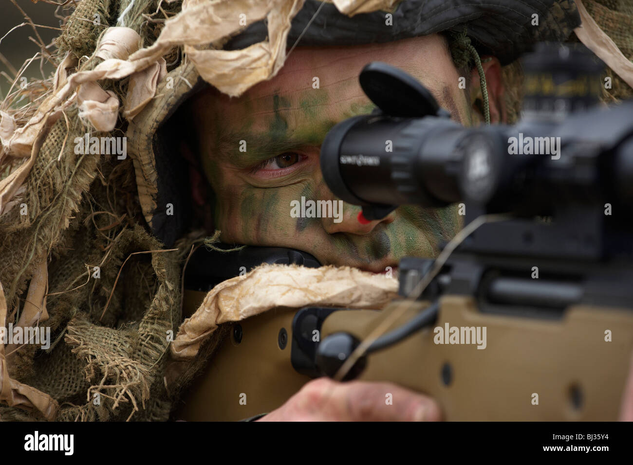 Lying in undergrowth, a camouflaged British infantry soldier is seen looking down the telescopic sight of a L115A3 rifle. Stock Photo