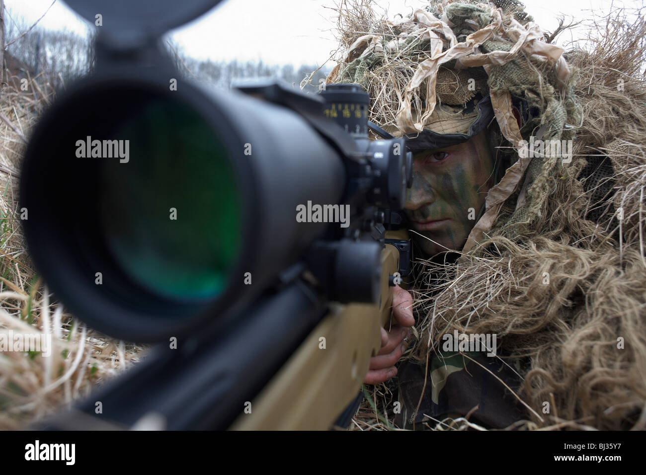 Lying in undergrowth, a camouflaged British infantry soldier is seen looking down the telescopic sight of a L115A3 rifle. Stock Photo