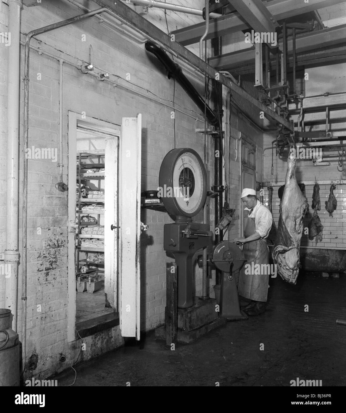 Schonhut's butchery factory, Rawmarsh, South Yorkshire, 1955. Artist: Michael Walters Stock Photo