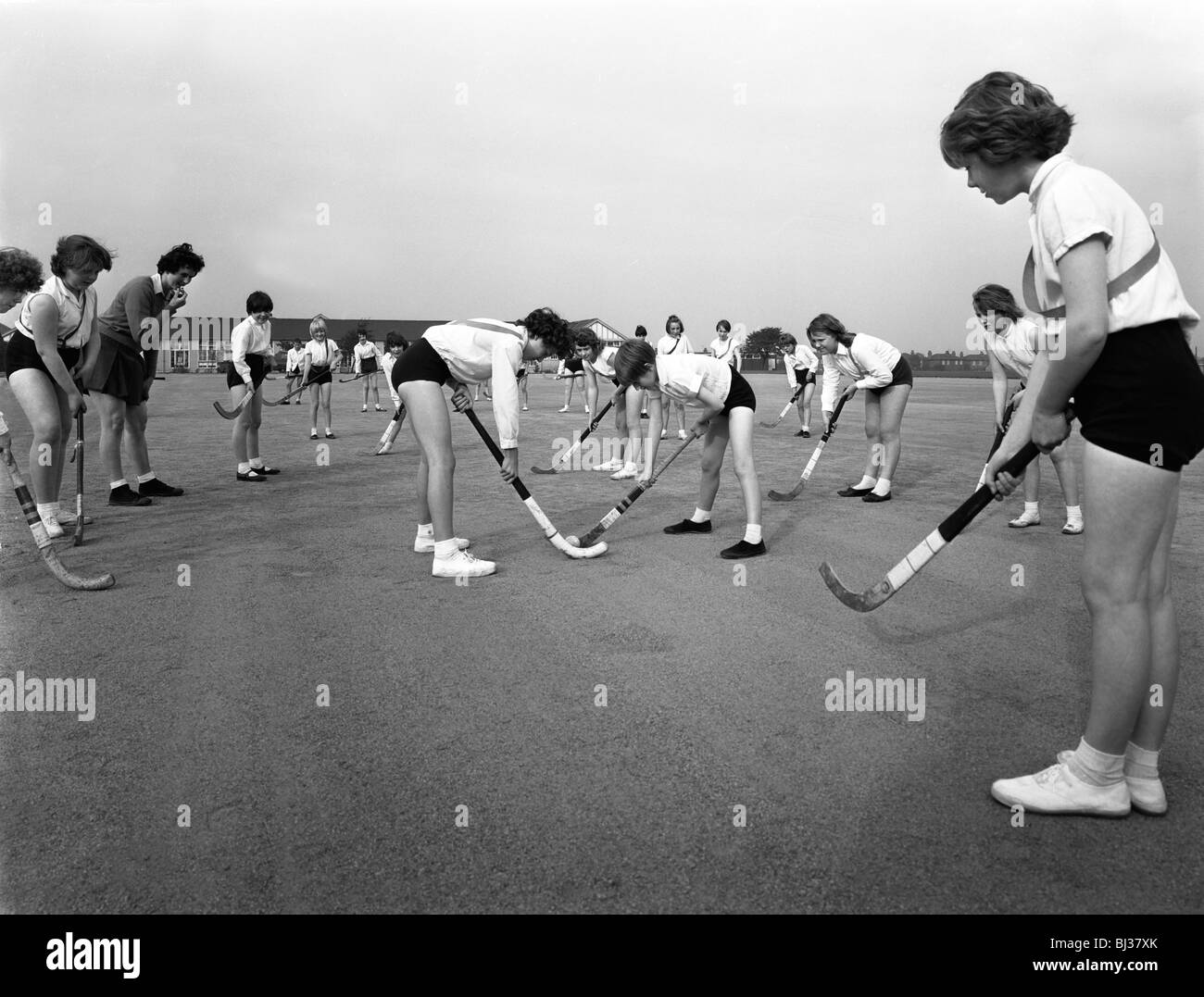 airedale-school-hi-res-stock-photography-and-images-alamy