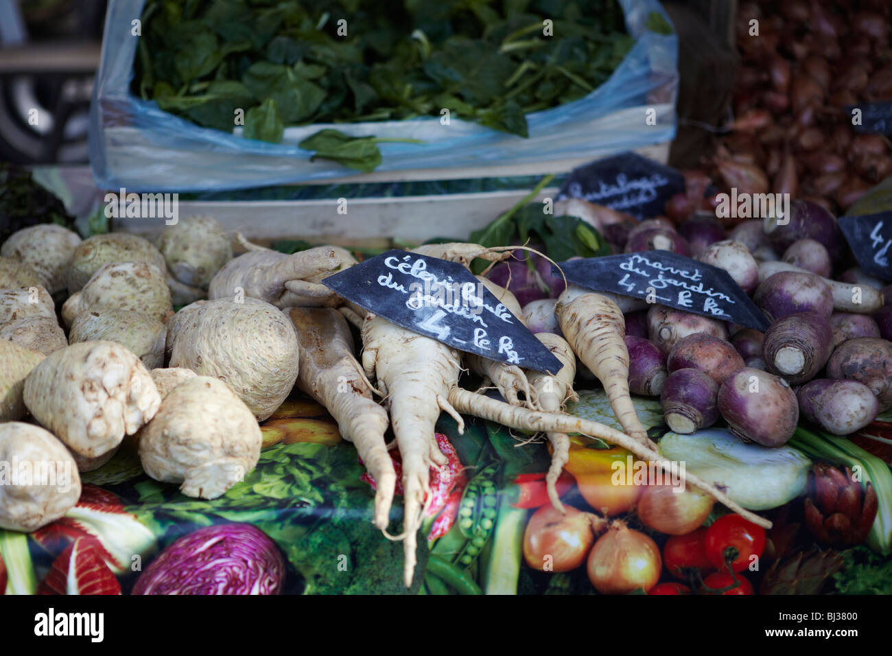 Parsnips and turnips in a market in Geneva, Switzerland Stock Photo Alamy