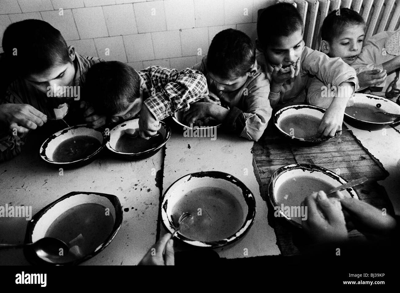 Gradinari Gradinari High Resolution Stock Photography and Images - Alamy