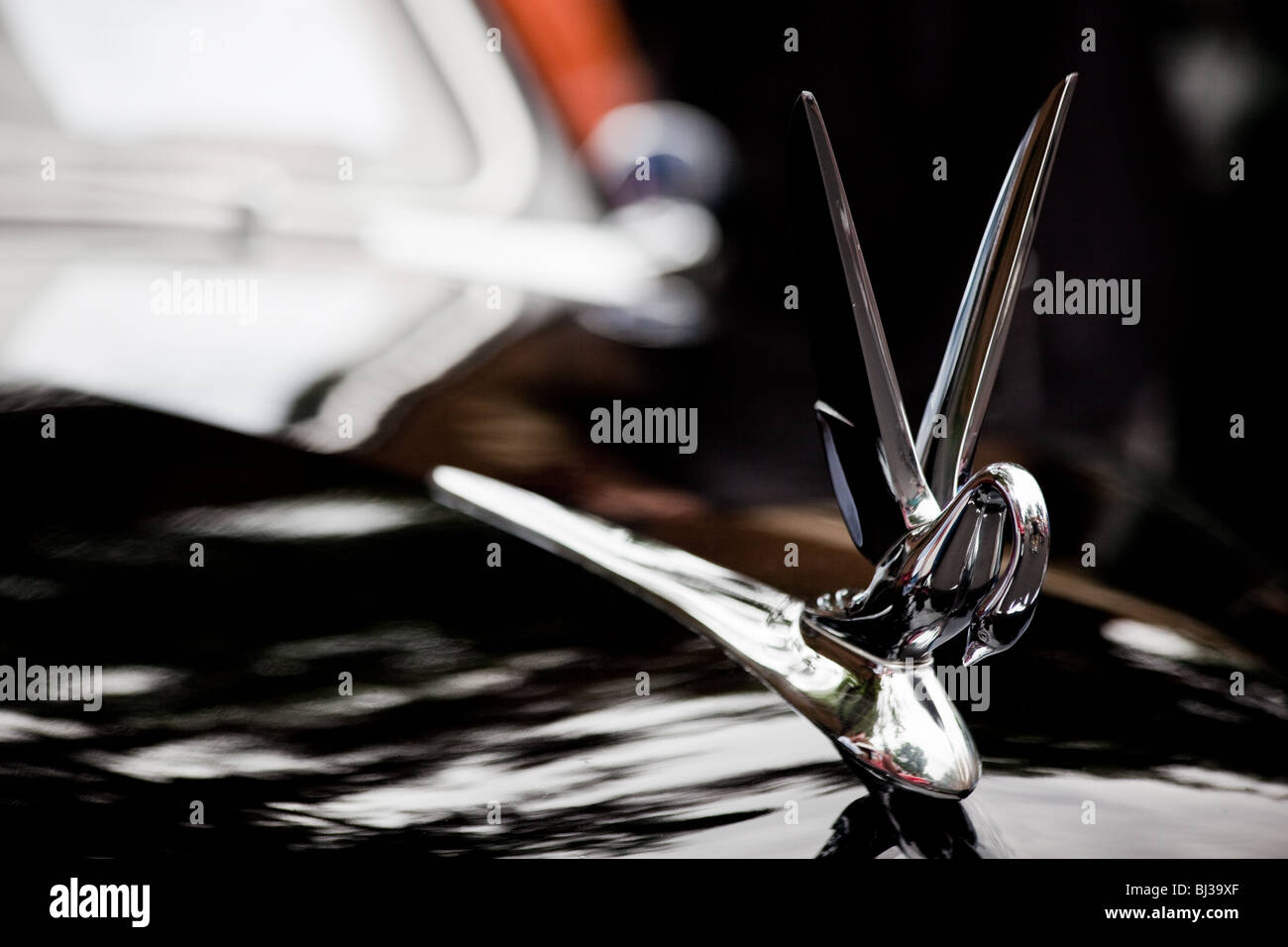 Swan hood ornament hires stock photography and images Alamy