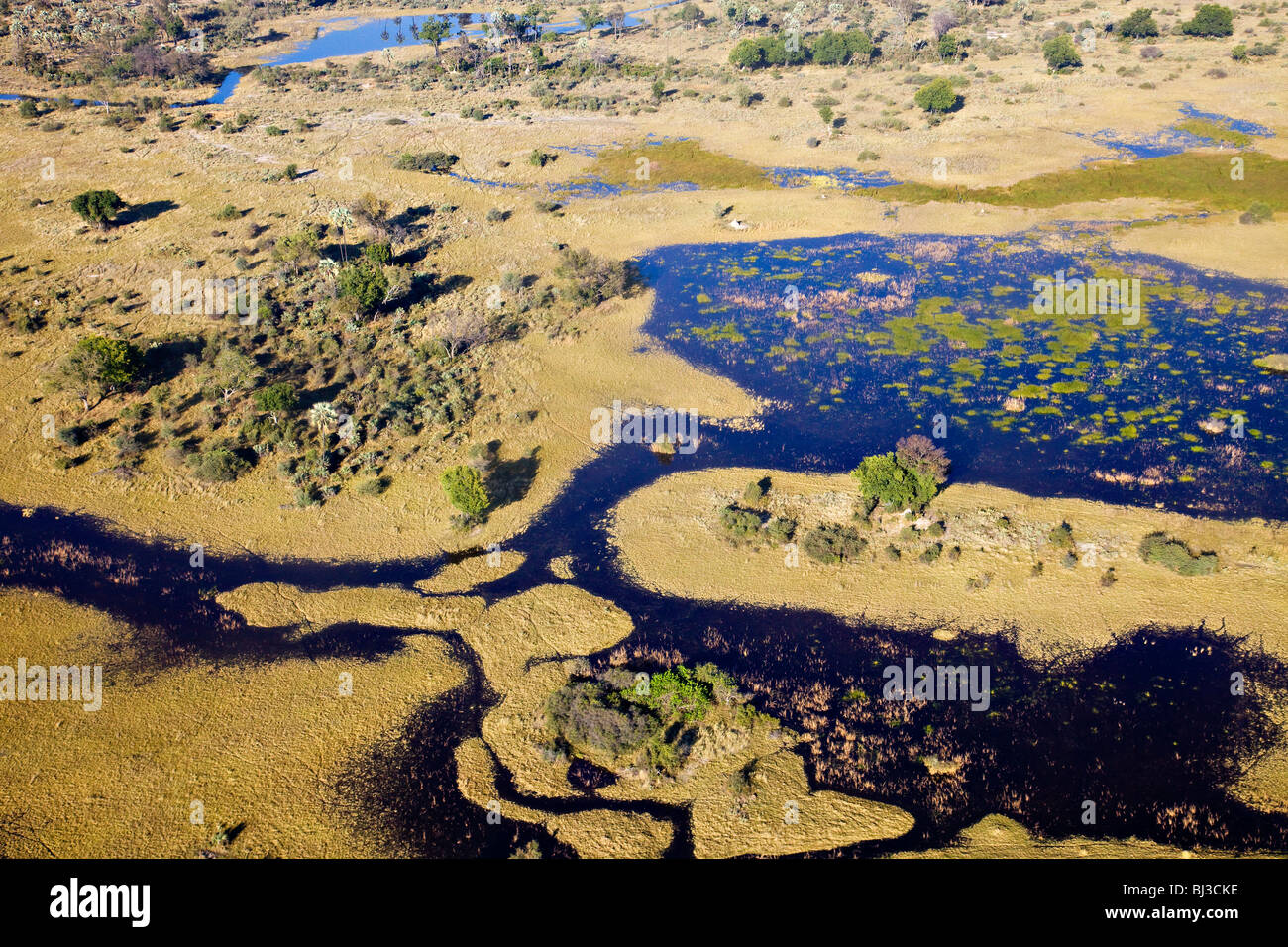 Aerial view, Okavango Delta, Botswana, Africa Stock Photo