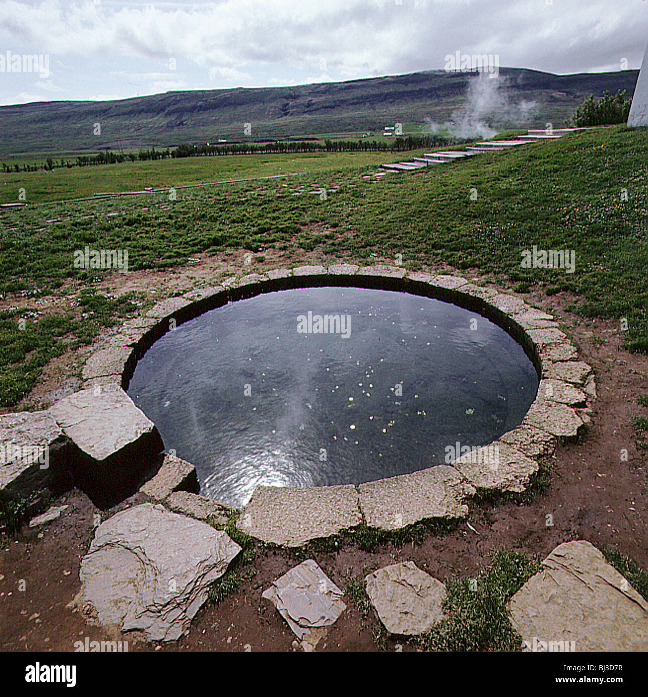 Pool of Saga, hot spring, Iceland. Artist: Werner Forman Stock Photo