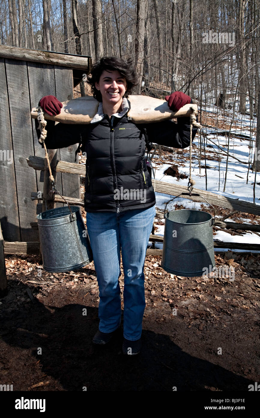 Forest Food Production and Maple Syrup or Maple syrup Harvest in