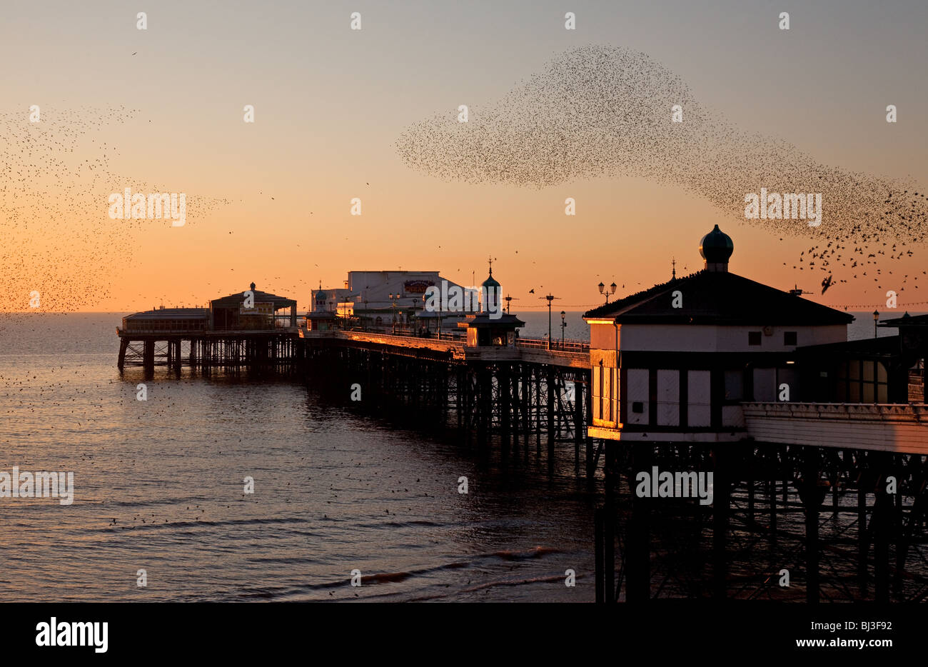 Swarm of starlings (Sturnus vulgaris)  over Blackpool's North Pier at dusk, Lancashire, UK Stock Photo
