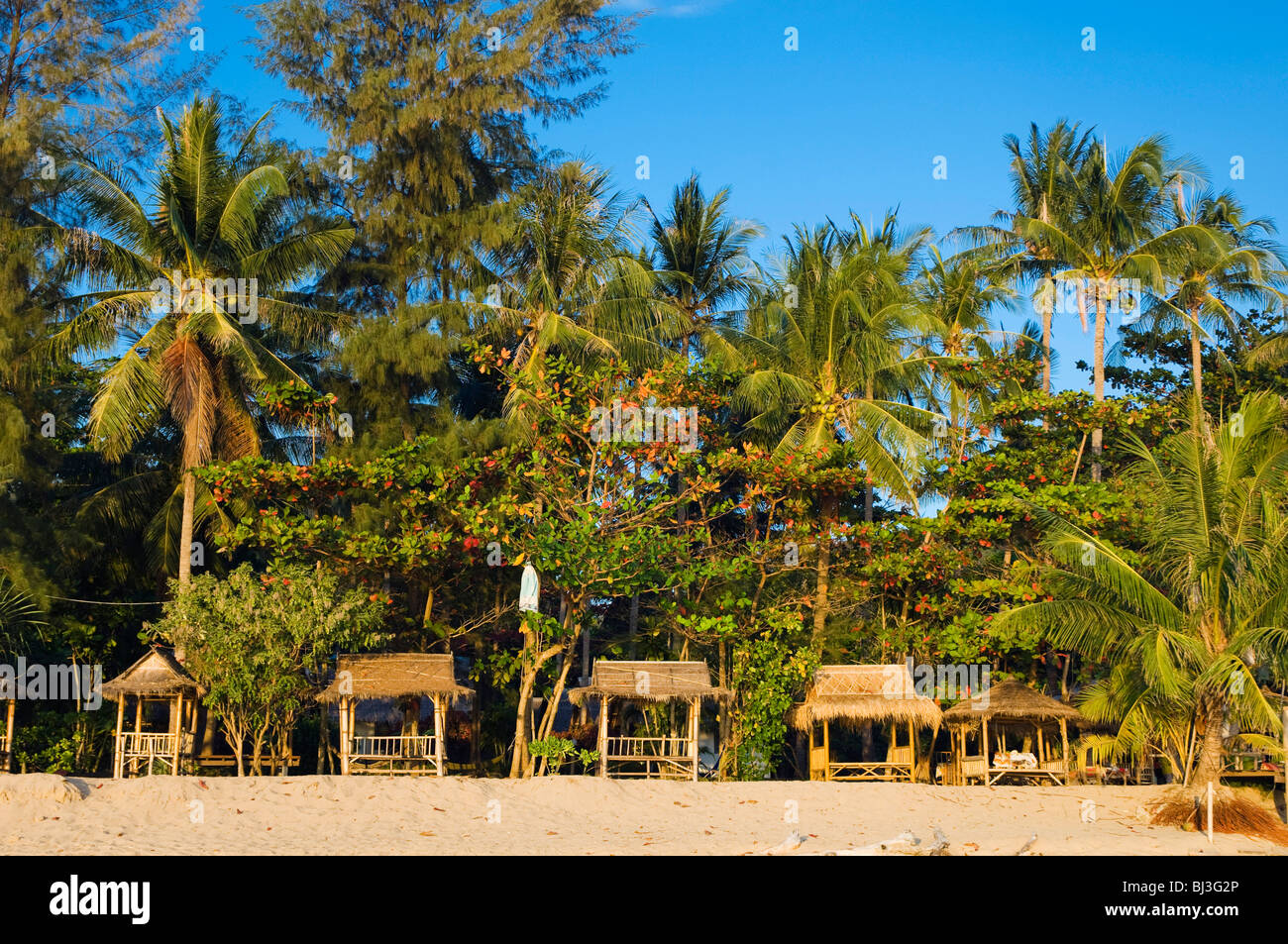 Palm beach, Klong Nin Beach, Ko Lanta or Koh Lanta island, Krabi, Thailand, Asia Stock Photo