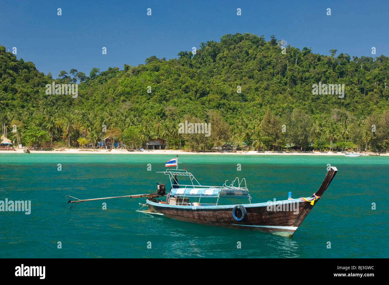 Long tail boat, beach and palm forest, Ko Hai or Koh Ngai island, Trang, Thailand, Asia Stock Photo
